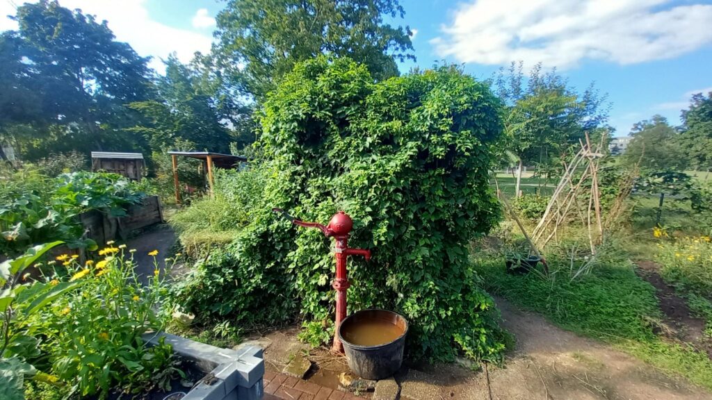 Ansicht Garten im Alaunpark auf Pumpe vor Hopfen